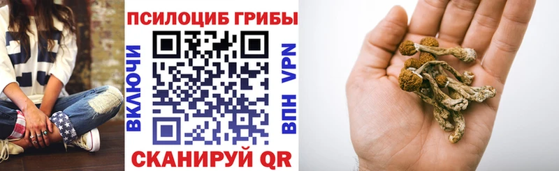Галлюциногенные грибы Psilocybine cubensis  Бабушкин 